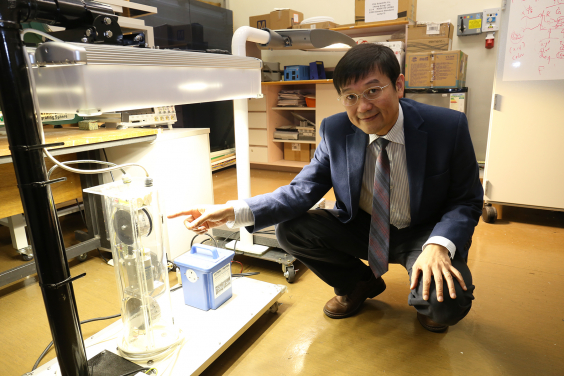 Professor Ron Hui's research team develops the world’s first passive LED driver that has designed lifetime exceeding 10 years with improved energy efficiency, lifetime and recyclability